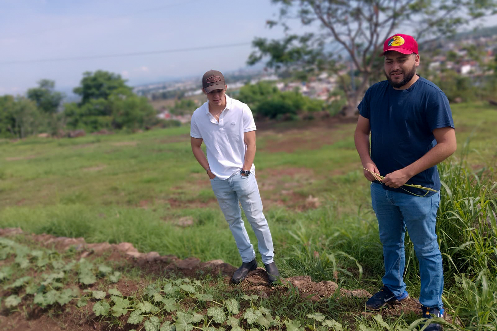 250618 IITA Zamora-6