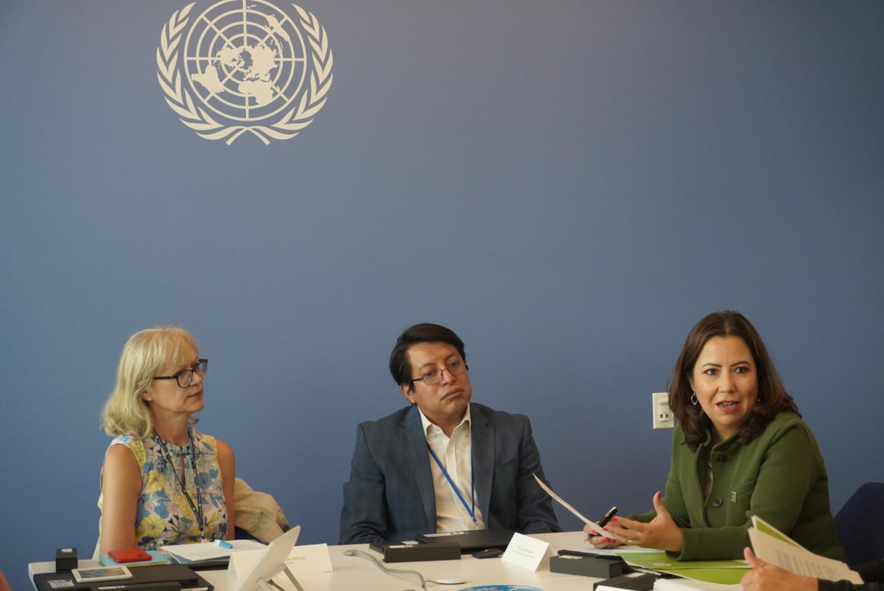 Rectora en la ONU 4