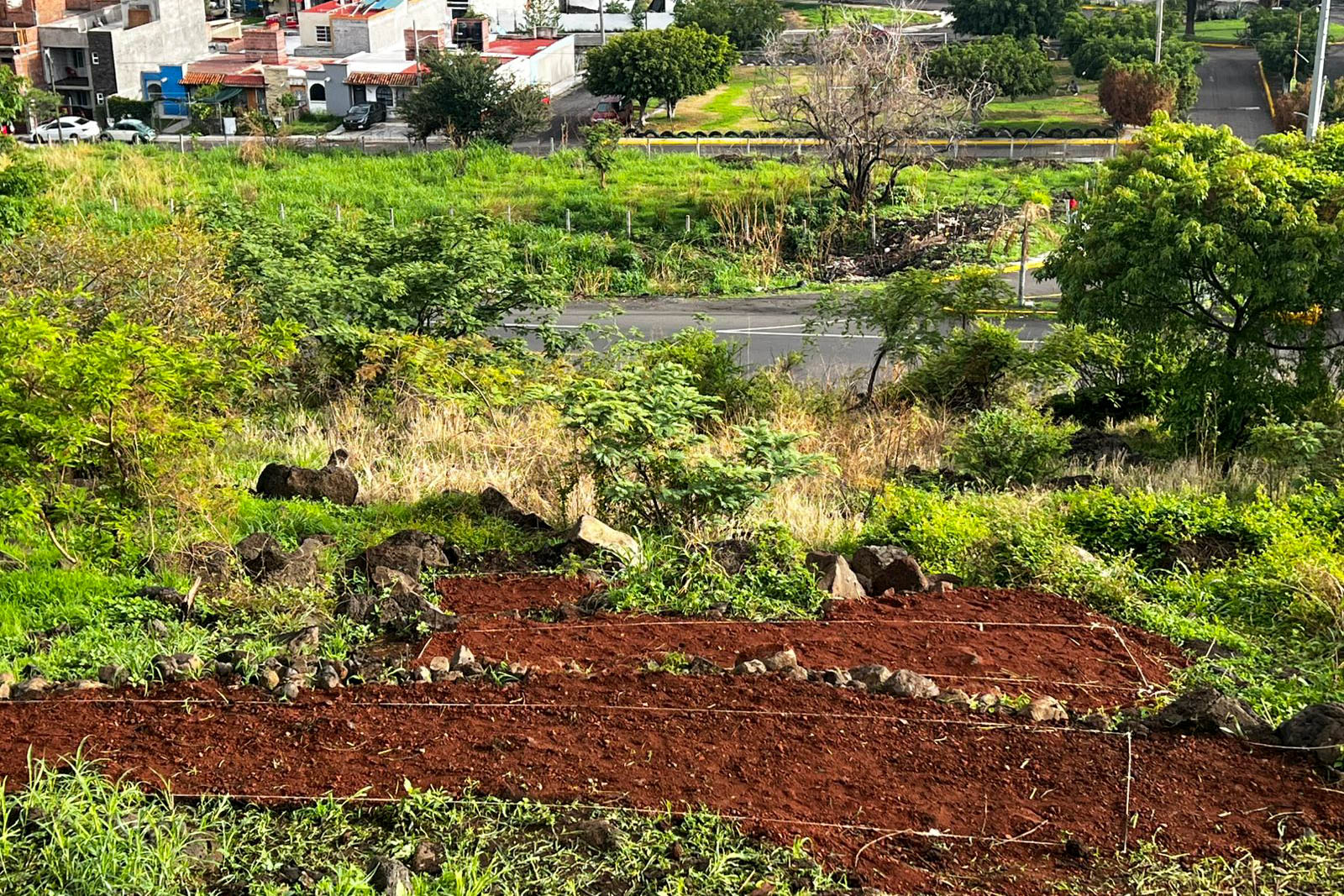 250623 Cultivan Zamora-11