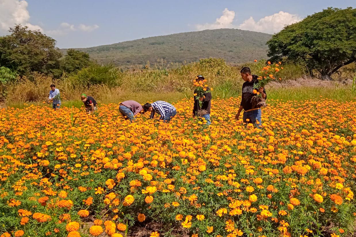 260304 Sarai Gaspar UVAQ Zamora-3