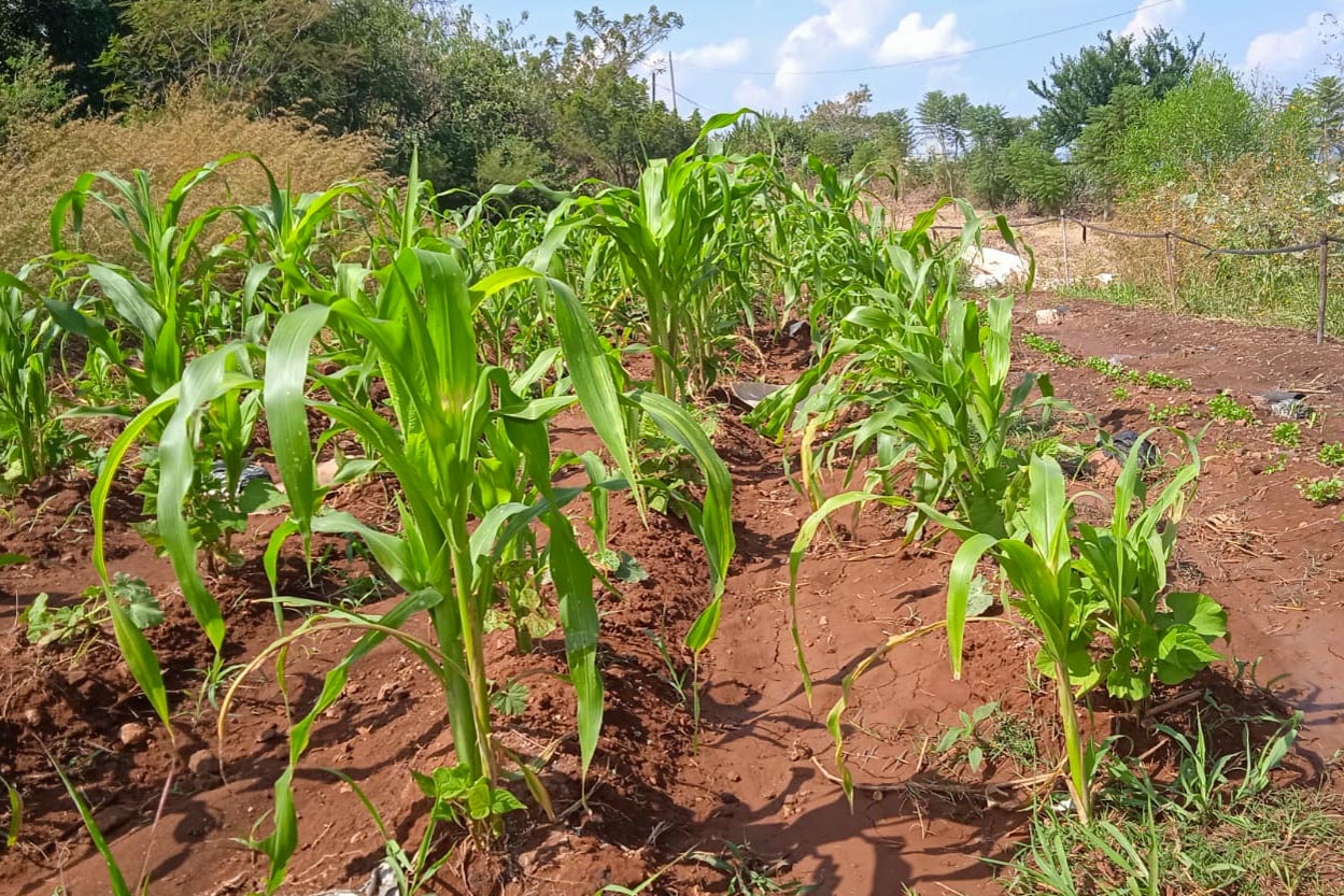 260304 Sarai Gaspar UVAQ Zamora-5