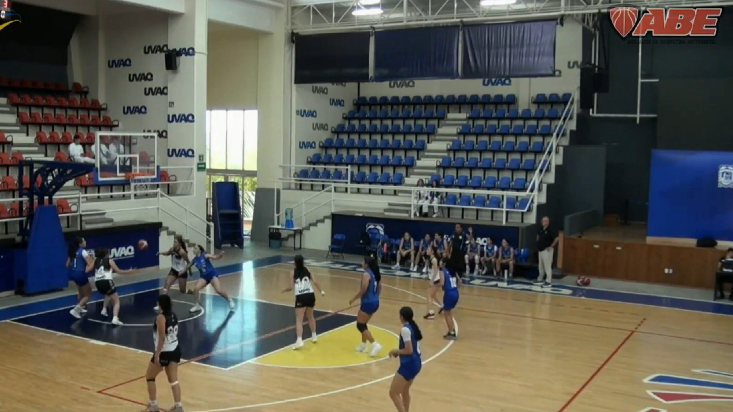 Halconas defienden permanencia en la Liga ABE al vencer a Borregas del Tec Querétaro